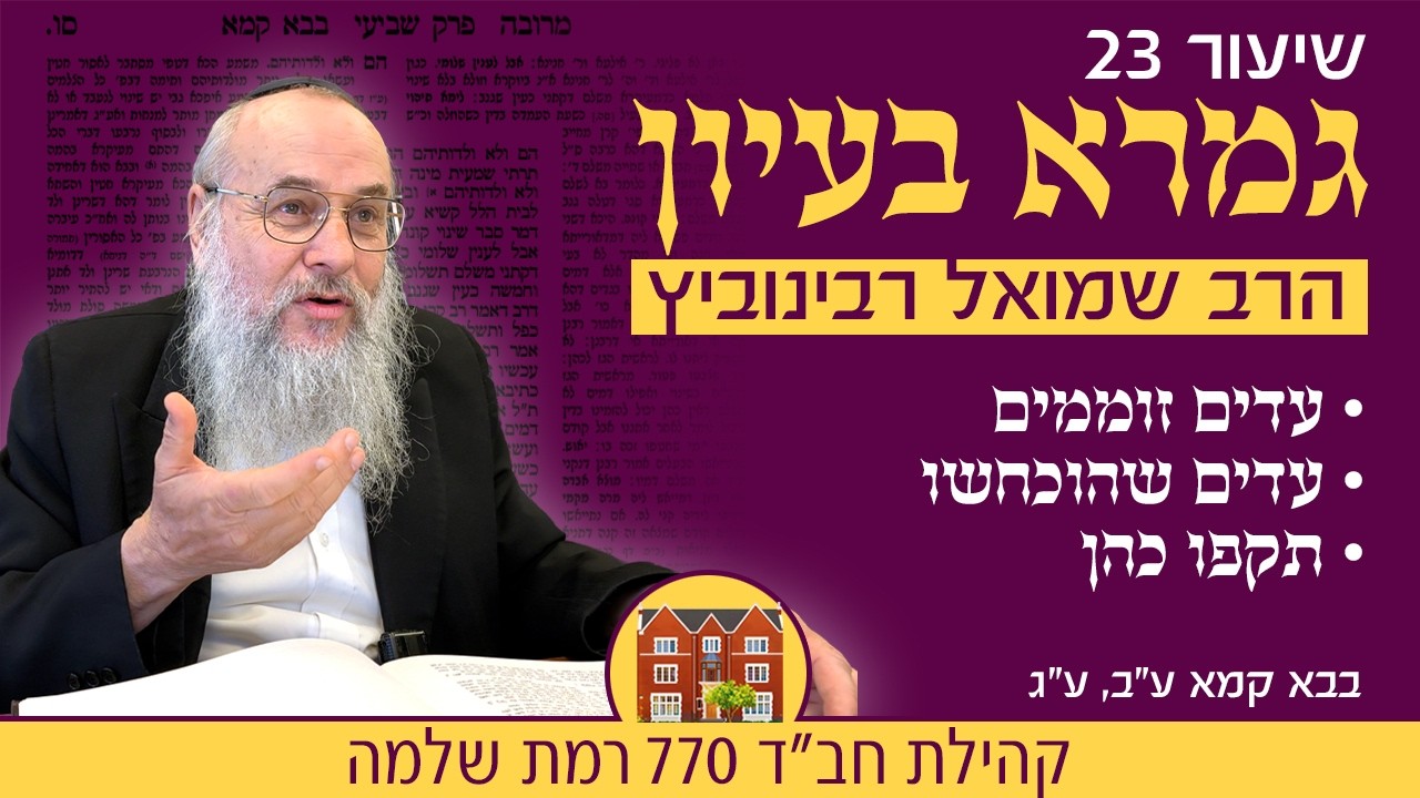 גמרא בעיון 23: עד זומם ותרי ותרי - הרב שמואל רבינוביץ