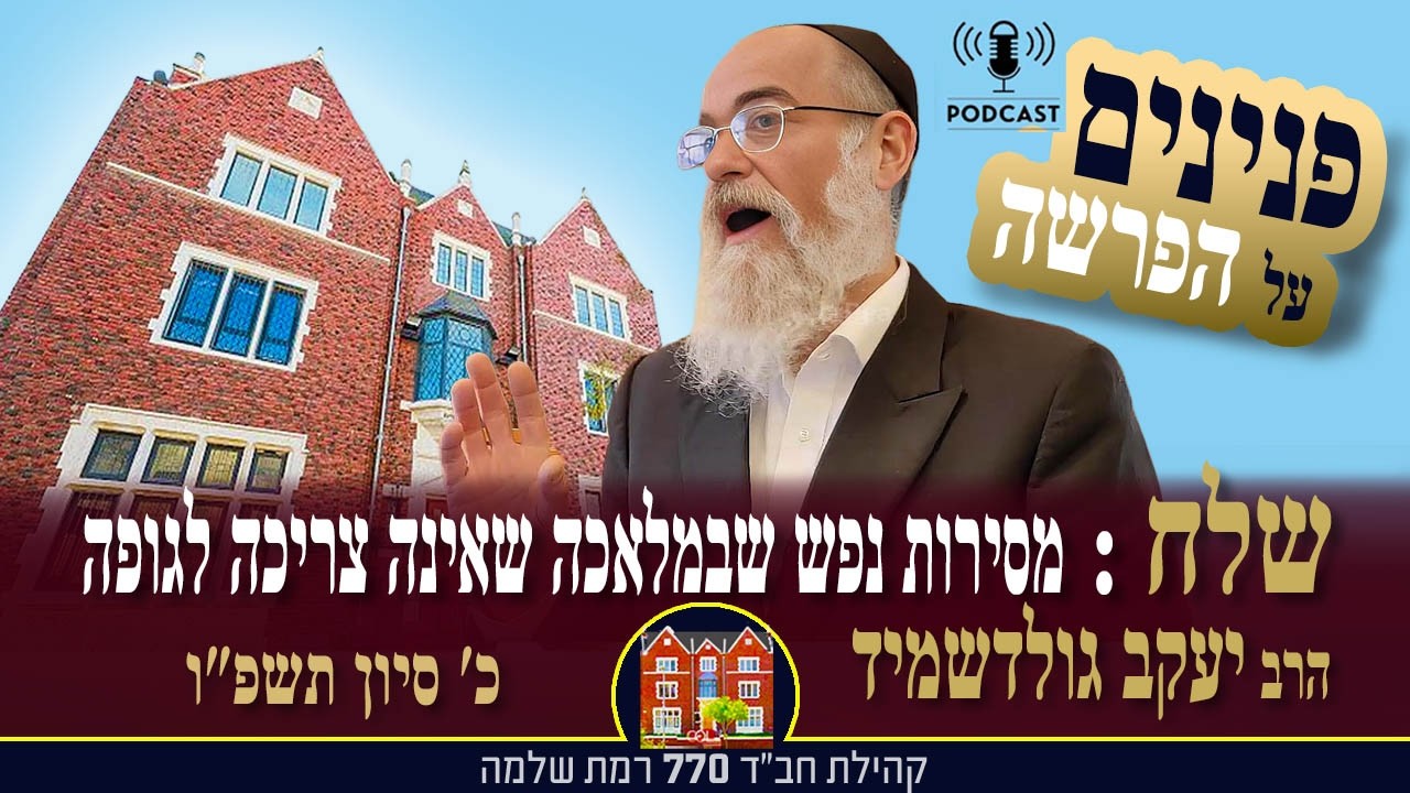 פ׳ שלח : מקושש העצים – מסירות נפש שבמלאכה שאינה צריכה לגופה - הרב יעקב גולדשמיד